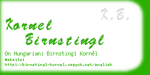 kornel birnstingl business card